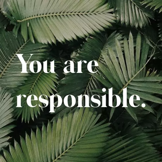 you are responsible